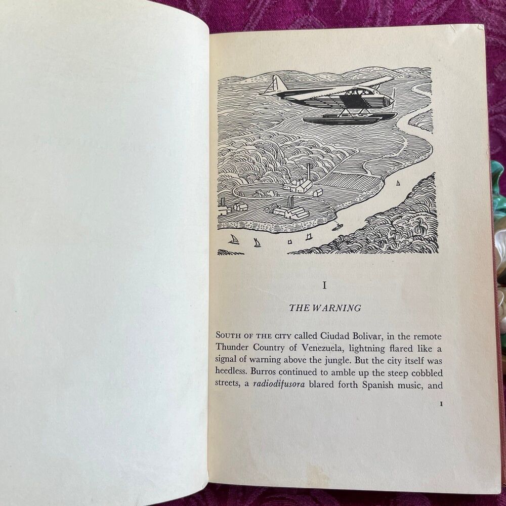 📚3 for $9 📚 1952 Vintage Book: Thunder Country Written and Illustrated - Picture 7 of 12